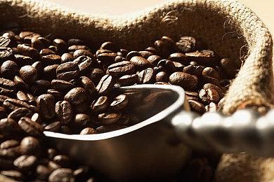 传《地平线》MMO已被韩国公司NCSoft取消